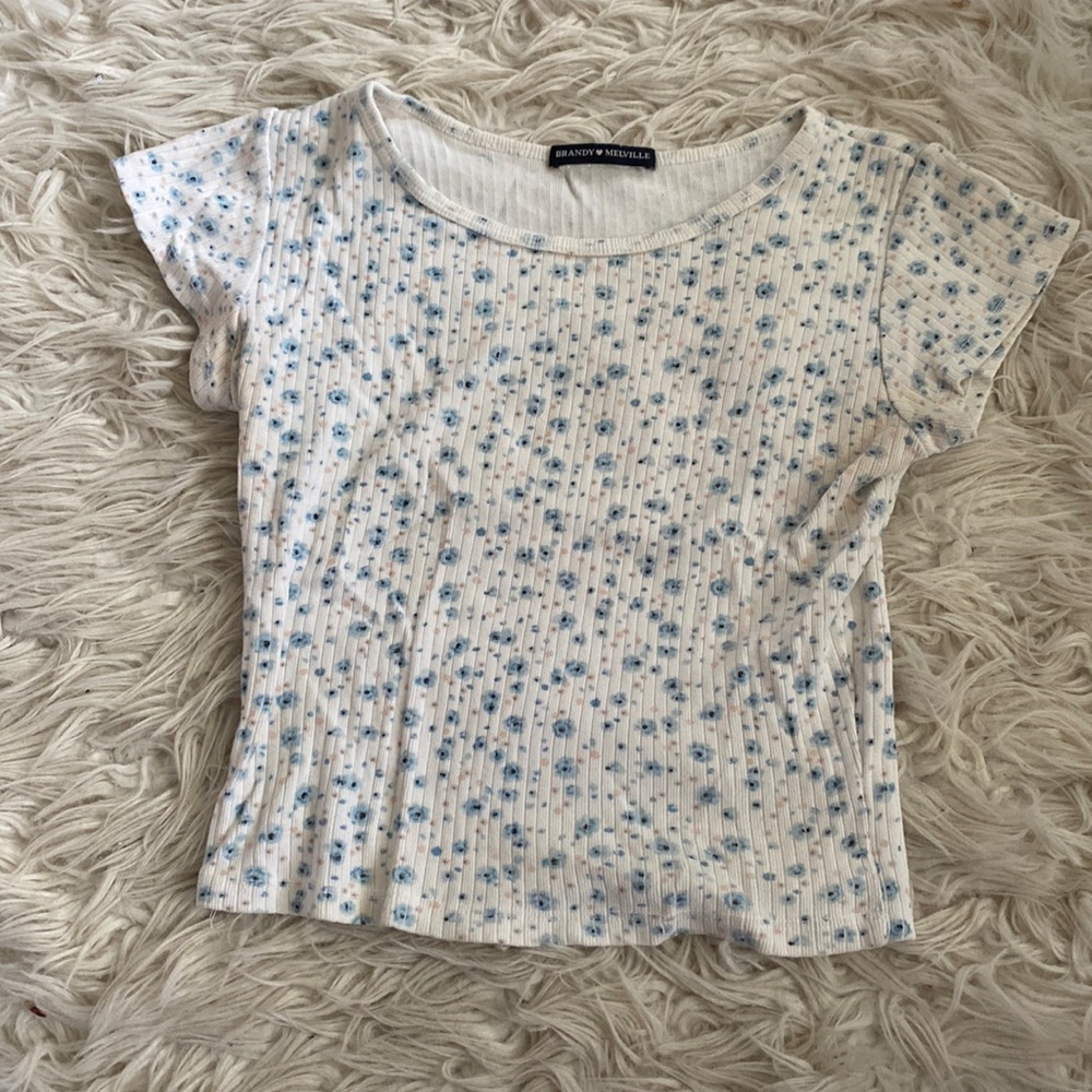Brandy Melville Cropped Tee